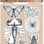 Stamperia Amazonia Butterfly 7pc