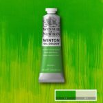 W&N Oil 37ml Phthalo Yellow Green