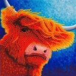 Highland Cow card 18x18cm CB