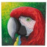 Pretty Parrot card kit 18x18cm