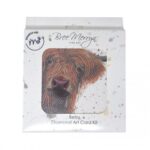 Bree Merry Diamond art kit Betsy